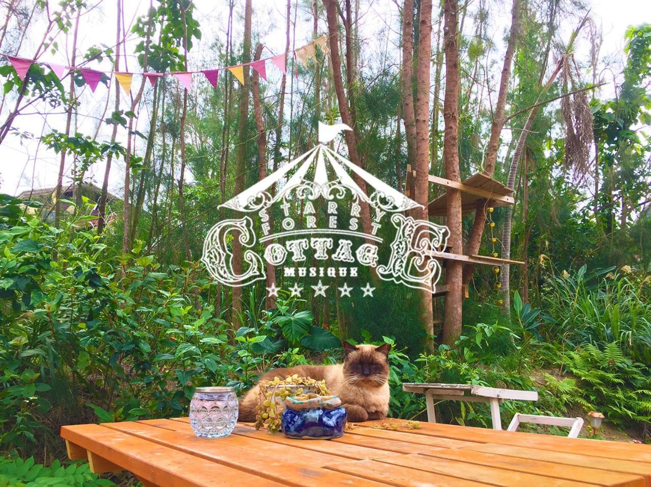 Cats,Piano & Starry Sky Resort Garden -Starry Forest Cottage Okinawa- Onna Eksteriør bilde